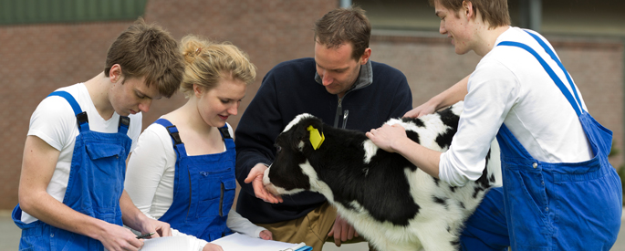 Students and instructor with Holstein calf