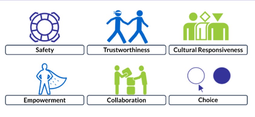 Screenshot from the Trauma Sensitive Schools Implementation Stories modules highlighting the six pillars of Trauma Sensitive Schools: Safety, Trustworthiness, Cultural Responsiveness, Empowerment, Collaboration, and Choics.
