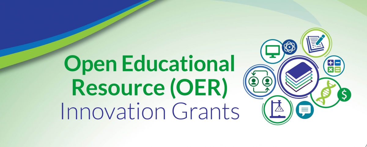 WISELearn OER Innovation Grants image