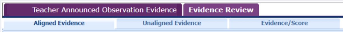 screenshot of evidence collection tool heading tabs