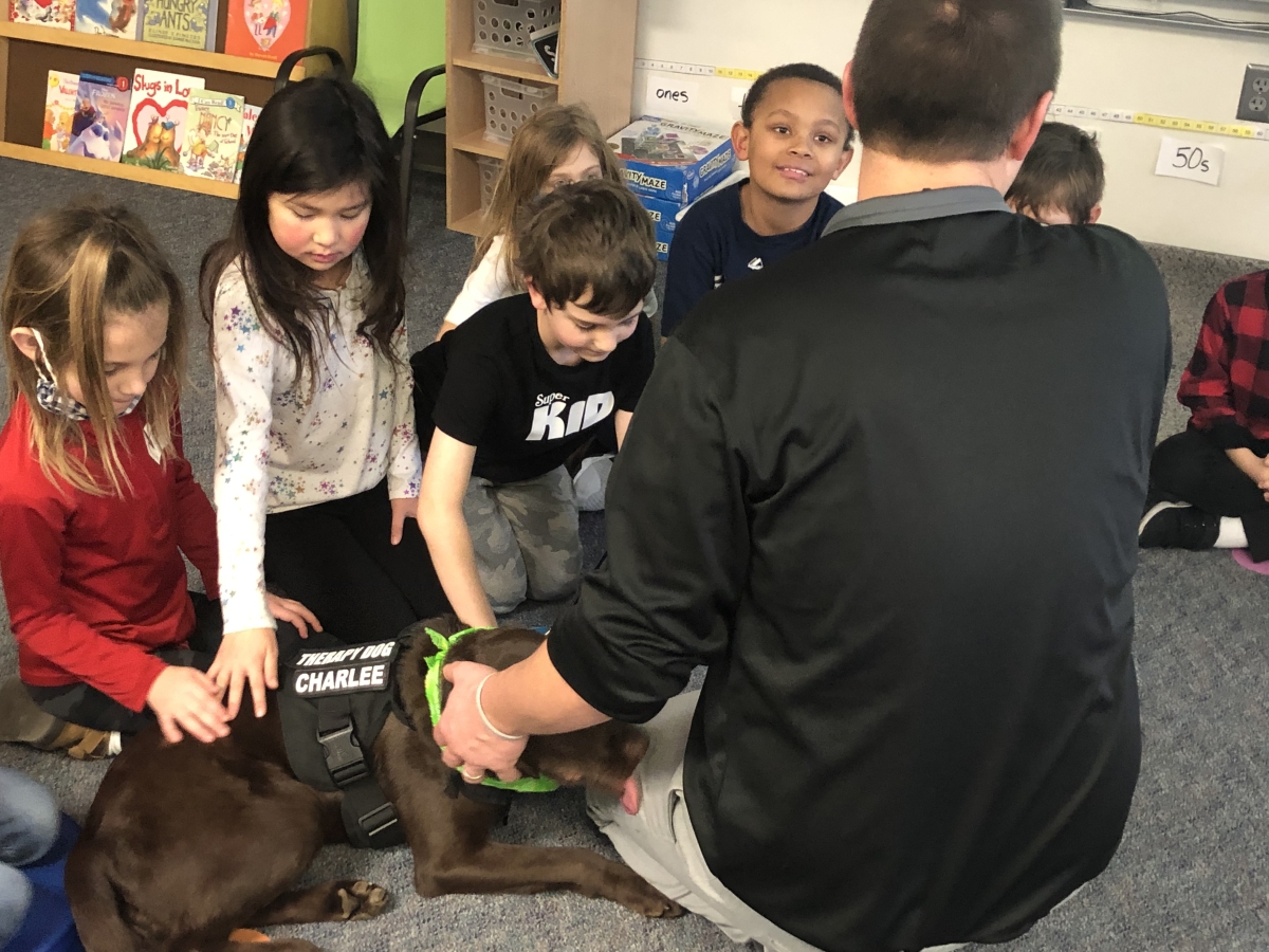 Charlee the chocolate lab support dog greets elementary school students