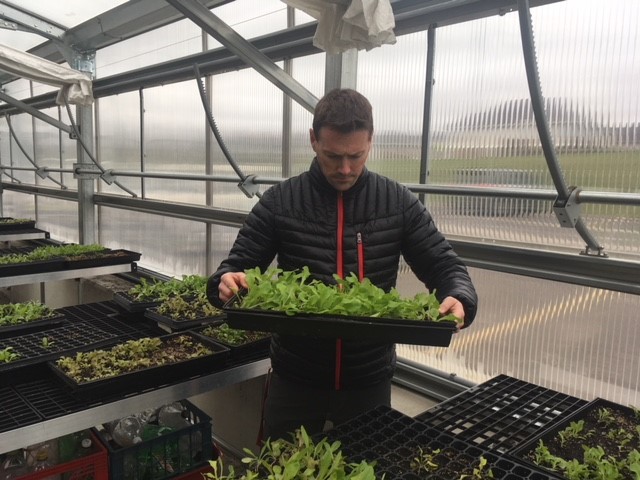 Darren in greenhouse
