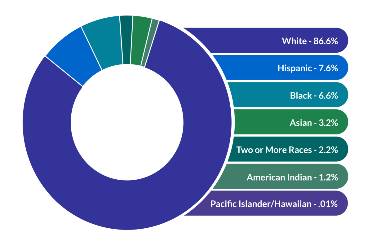 WI Diversity Infographic