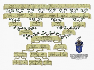 Genealogy Family Tree