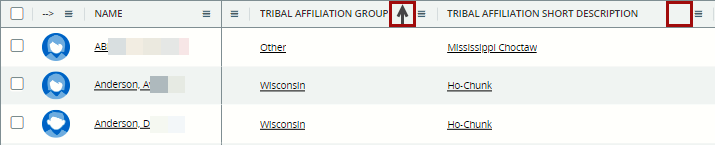Clicking Column Header to sort by Tribal Affiliation Group , alphabetically, with students being listed alphabetically within each group. 