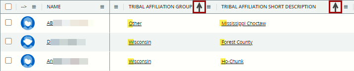 Clicking two Column Header to sort by Tribal Affiliation Group, alphabetically, AND Tribal Affiliation Short Description, alphabetically, with students being listed alphabetically within each group. 