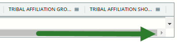 Click and drag the Tribal Affiliation columns where you want them in the table. 